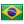 Português - Brasil